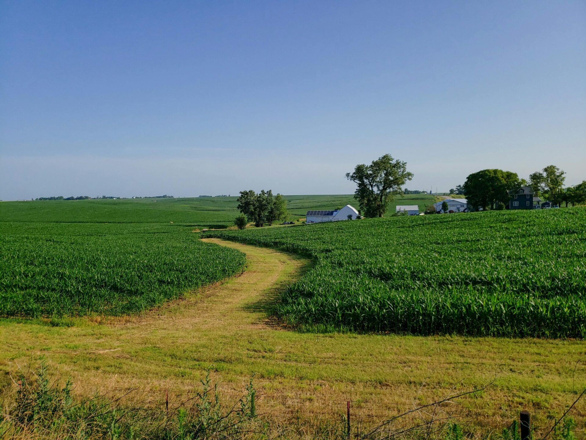 iowa