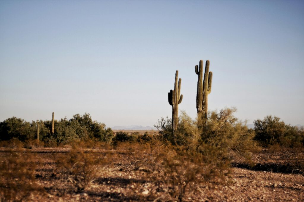 buckeye arizona virtual tours