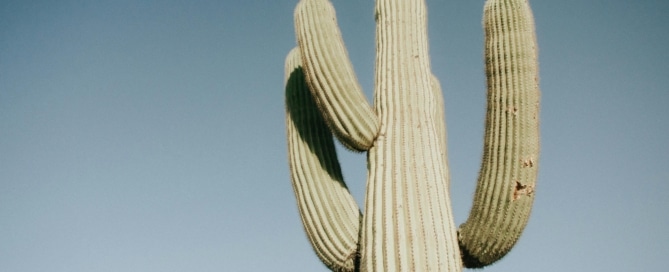 buckeye az virtual tour company