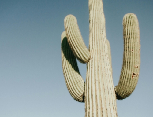 Buckeye Arizona Virtual Tour Company – Professional Local Virtual Tour Services