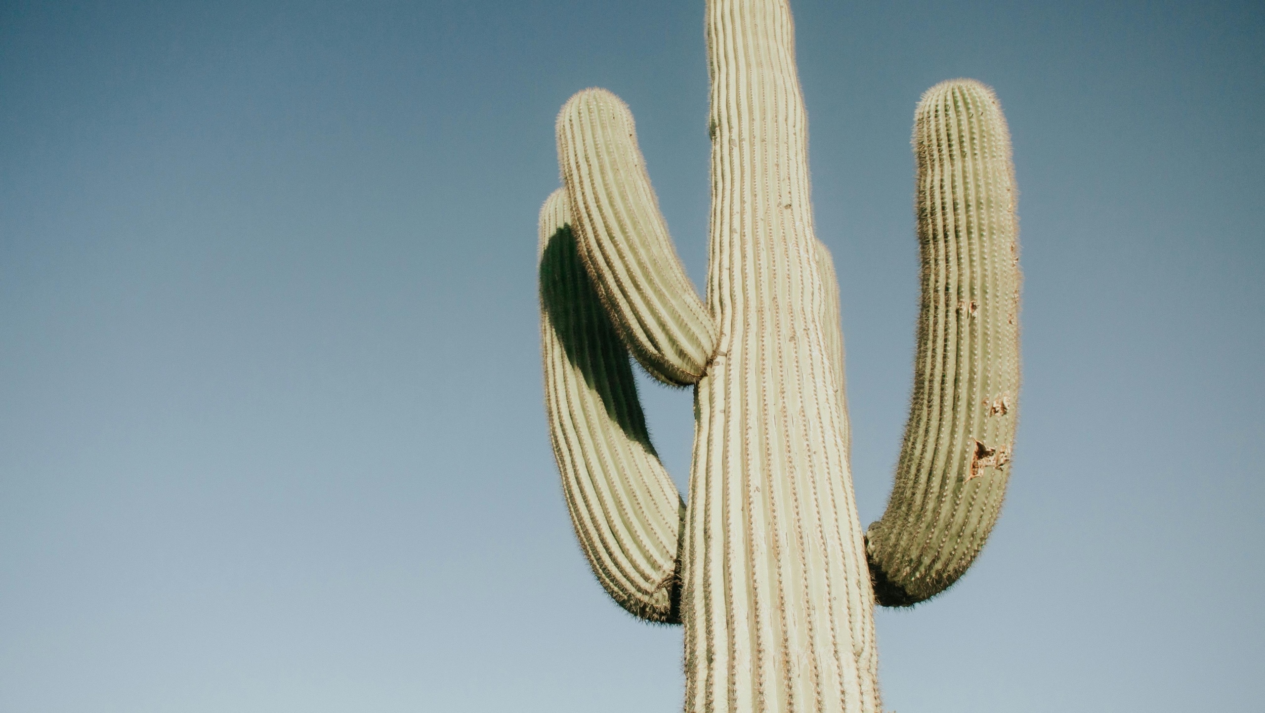 buckeye az virtual tour company