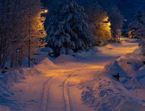 Flagstaff Tourism Virtual Tours: Attracting Visitors Year-Round