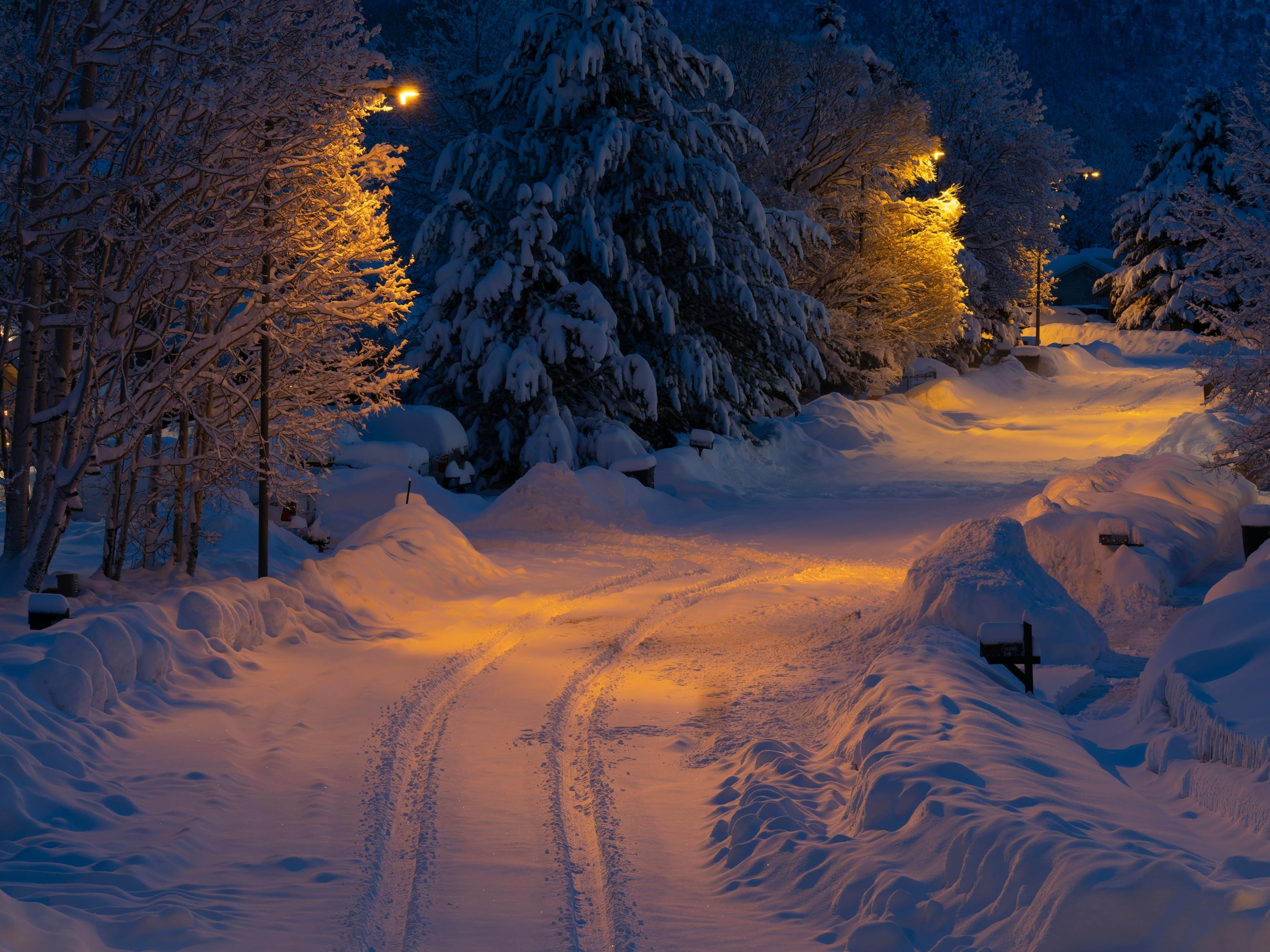 flagstaff virtual tours