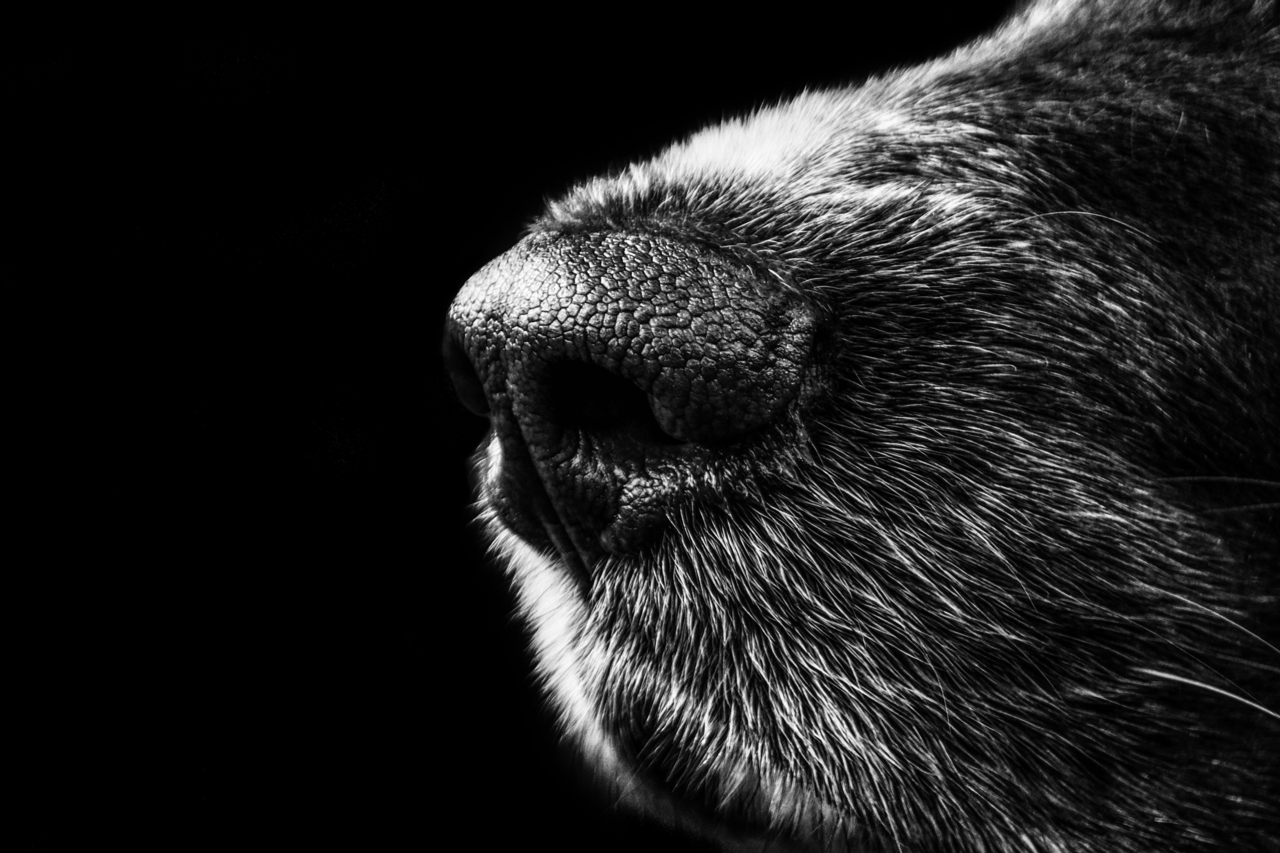Veterinary Clinic Virtual Tours